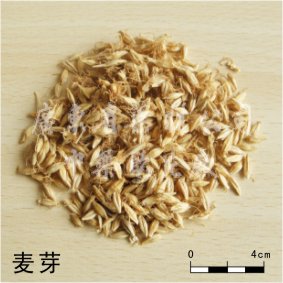 照薄层色谱法(附录Ⅵb)试验,吸取上述两种溶液各2μl,分别点于同一